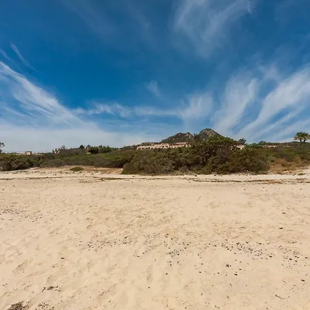 Free Beach