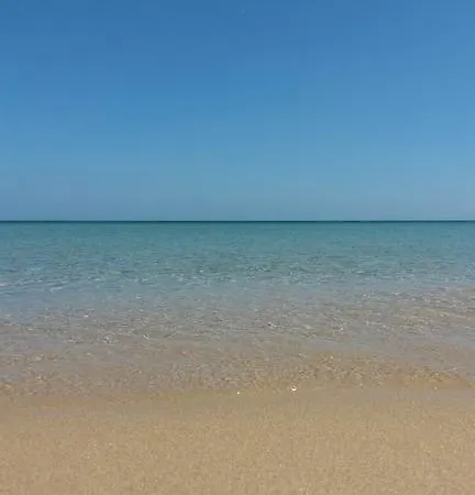 Free Beach Apartamento