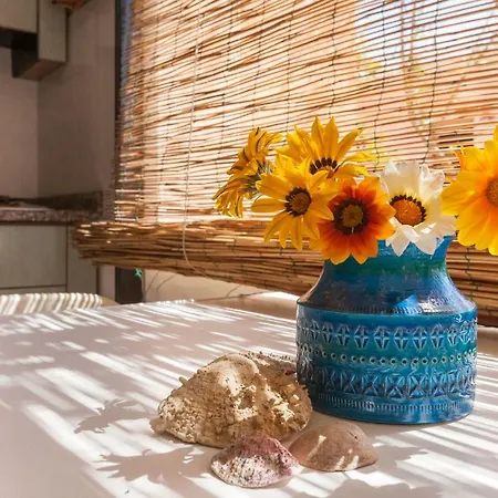 Free Beach Apartamento